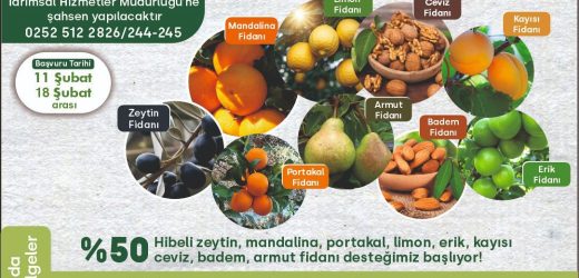 MİLAS BELEDİYESİ TARIMSAL DESTEKLEMELERİNİ SÜRDÜRÜYOR… ÜRETİCİLERE FİDAN DAĞITIMI GERÇEKLEŞTİRİLECEK