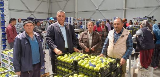 Gürer: “Don, meyve ihracatını da vurdu”