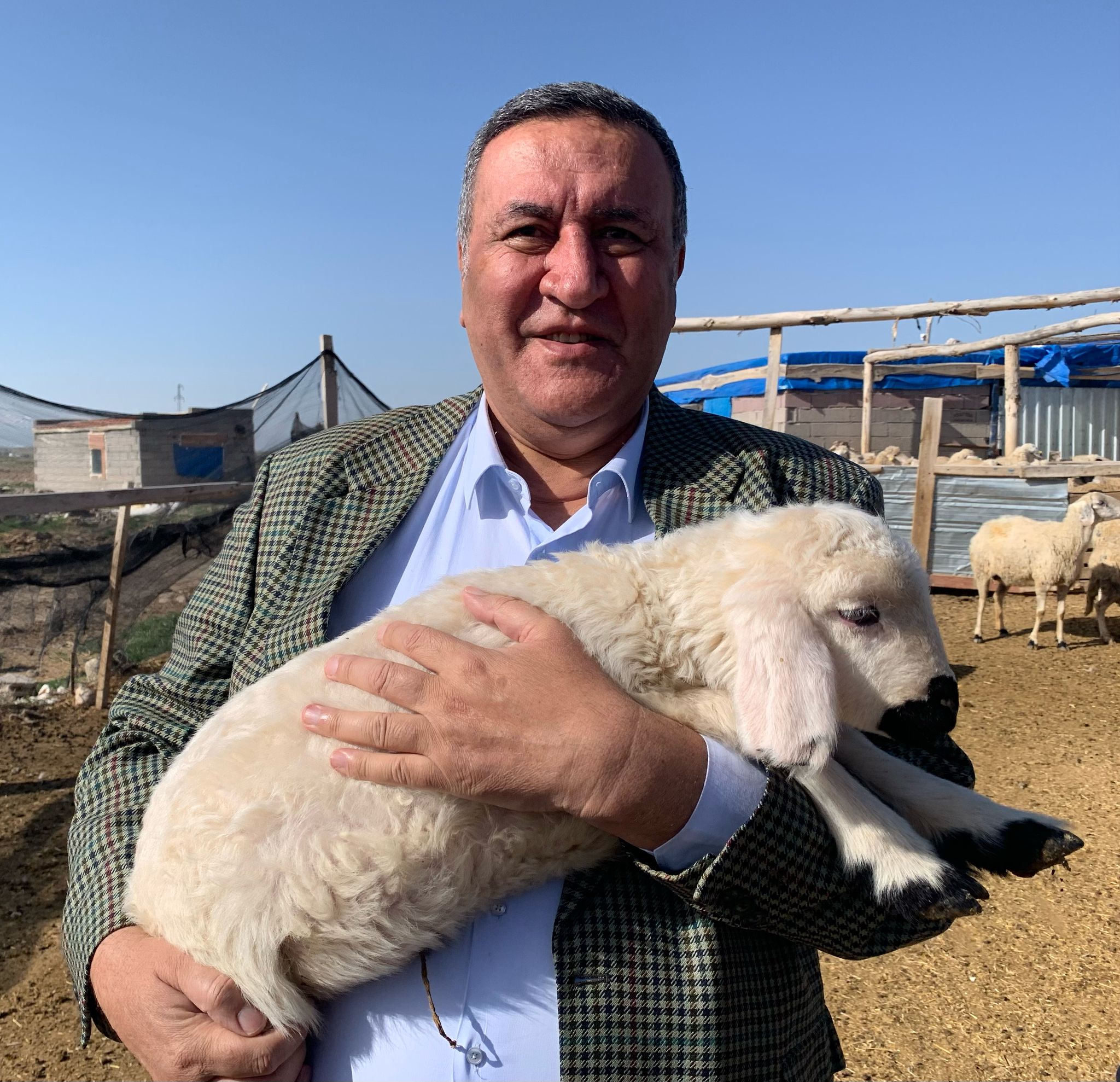 Gürer: “Keçiler ve oğlaklar haciz yoluyla satışa çıkarıldı”