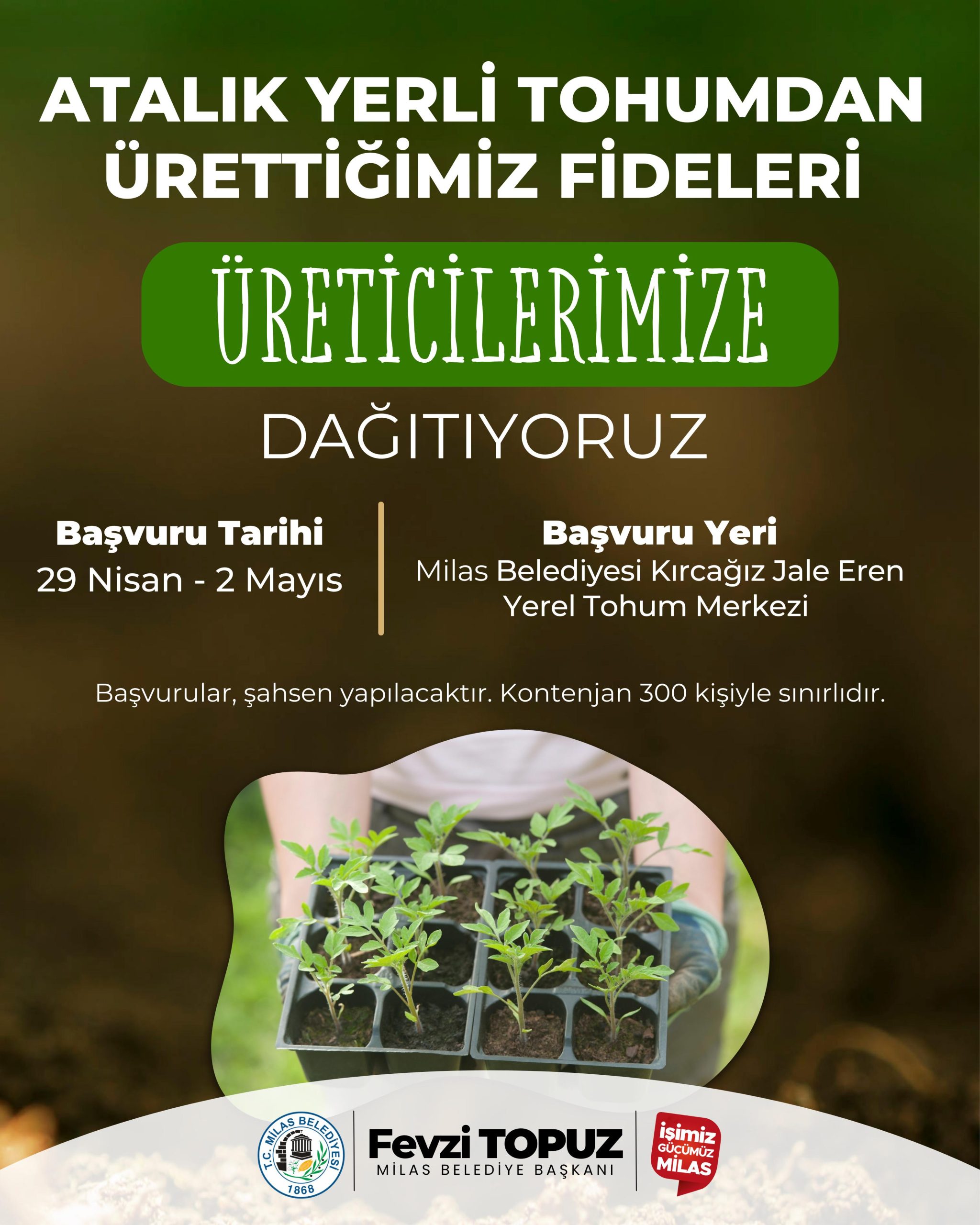 MİLAS BELEDİYESİ ATA TOHUMLARINI YAŞATMAK AMACIYLA SEBZE FİDESİ DAĞITIMI GERÇEKLEŞTİRECEK