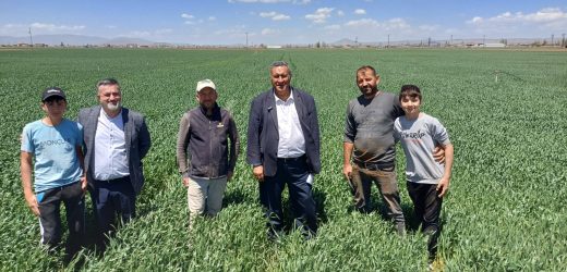 Gürer: “TMO buğdayda alım fiyatını açıklamalıdır”