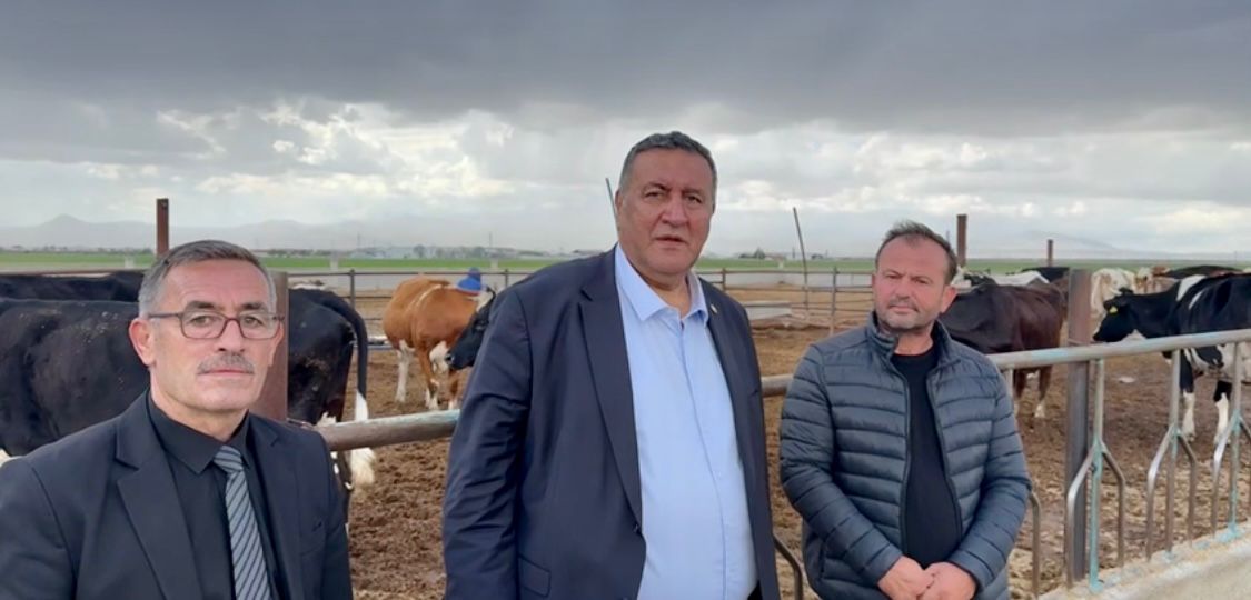 Gürer: “3 yılda 1,5 milyon hayvan ithalatına rağmen et üretimi düştü”