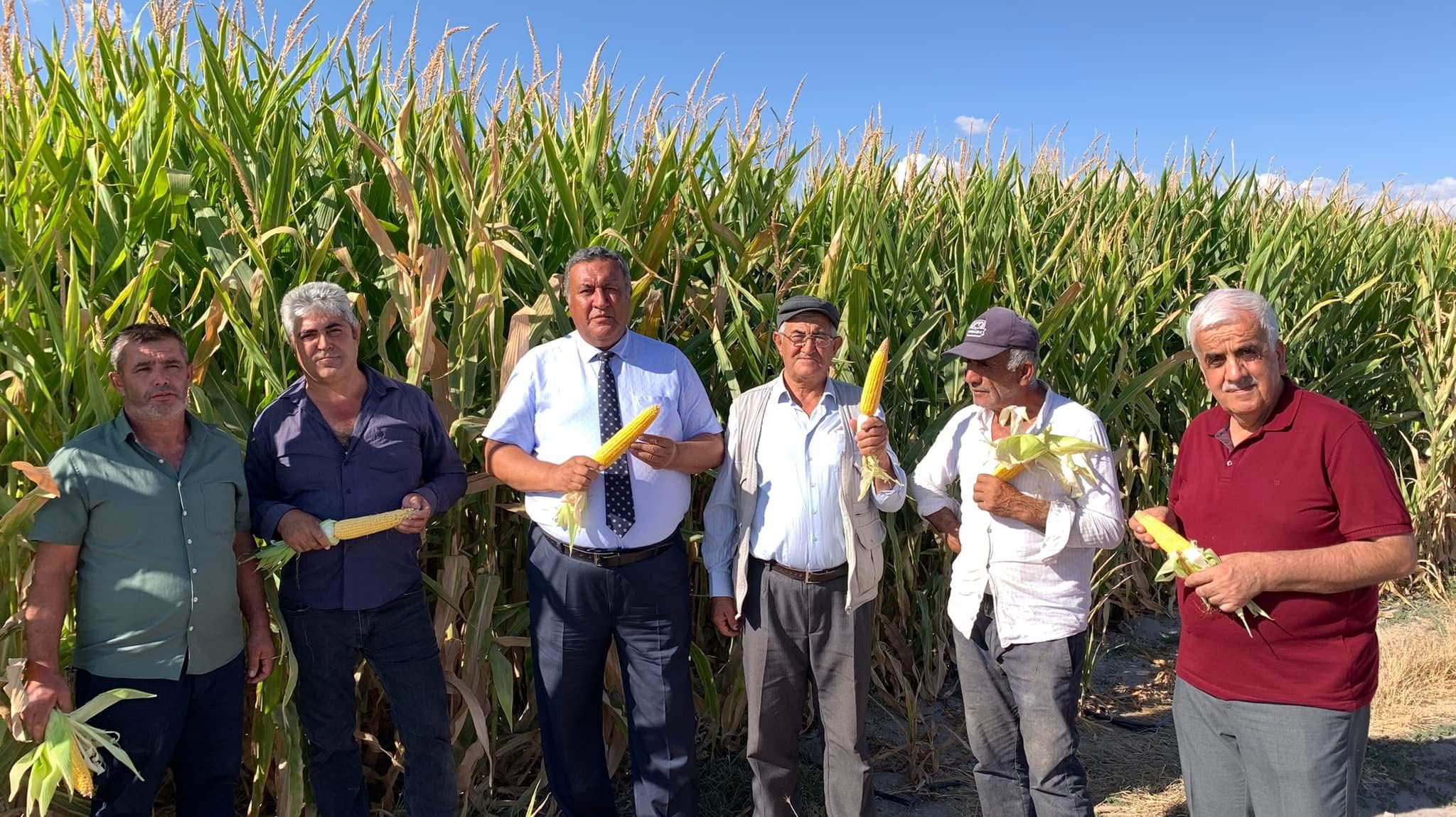 Gürer: “Mısır ithalatı iktidarın tarıma bakışını yansıtıyor”