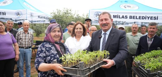 MİLAS BELEDİYESİ ATA TOHUMLARINI YAŞATMAK İÇİN ÜRETİCİLERE FİDE DAĞITIMI GERÇEKLEŞTİRDİ