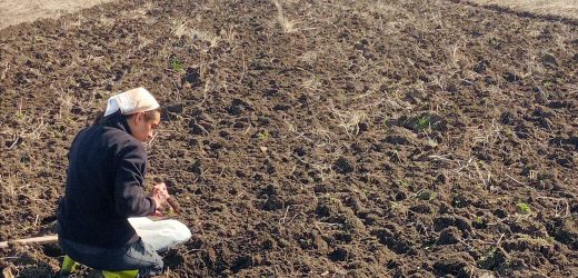 Ardahan’da Çiftçilere Verimli Toprak Eğitimi Verildi