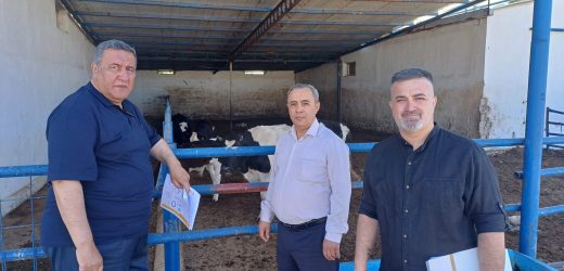 Besici: “Bölgemizde 20 besiciden geriye 1-2 kişi kaldı”