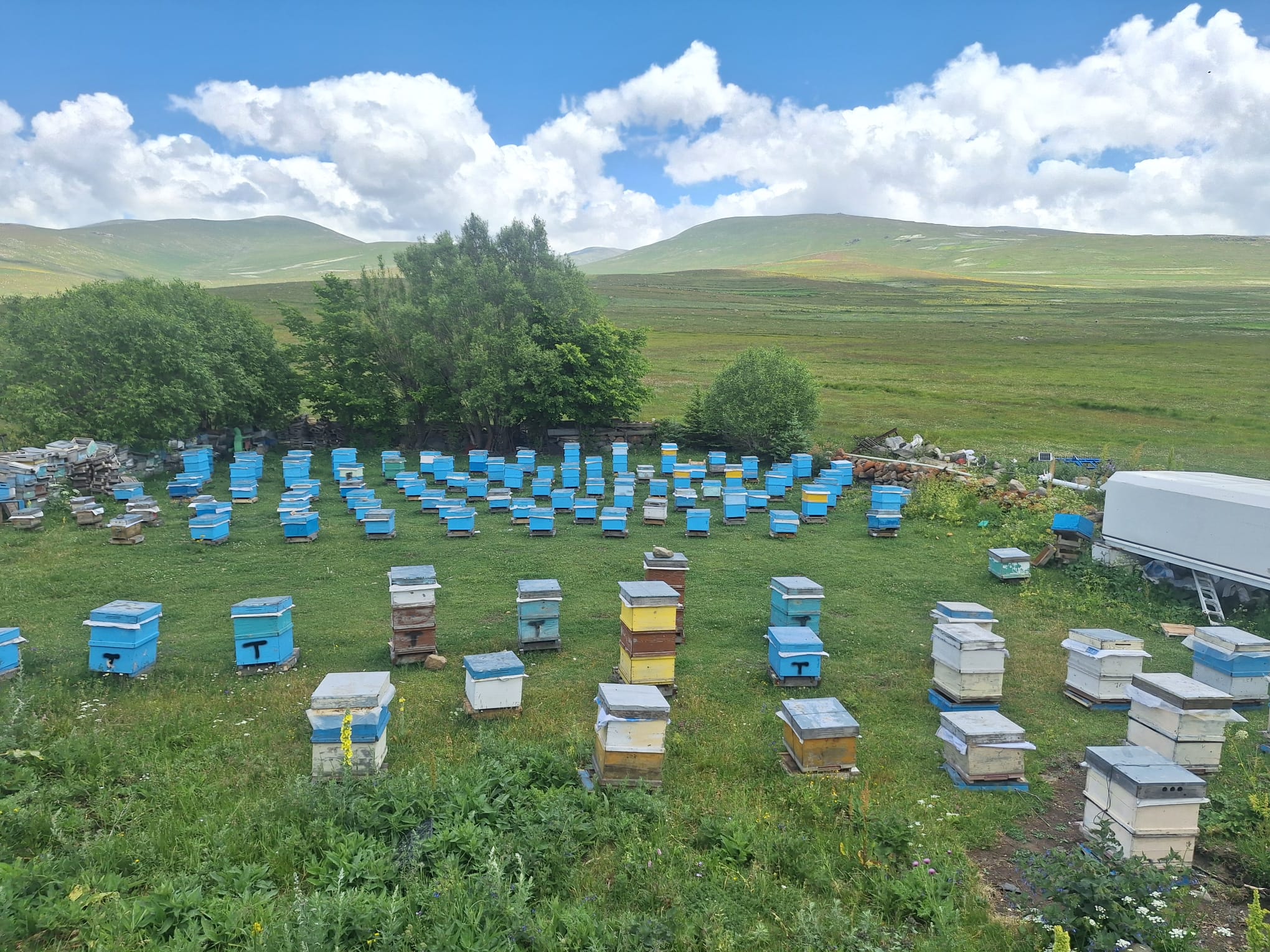 Kısırdağı Florasından Sofralarınıza Organik Bal.