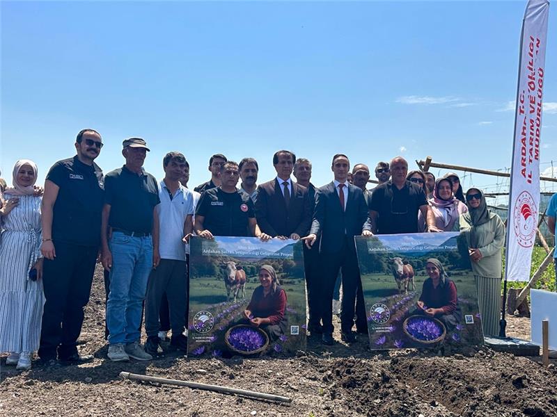 ARÜ ve Ardahan İl Tarım ve Orman Müdürlüğü İş Birliğiyle Posof’ta Safran Ekim’i Gerçekleştirildi
