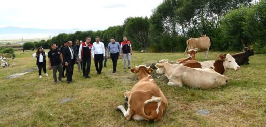 Tarım ve Orman Bakan Yardımcısı Ardahan’daydı