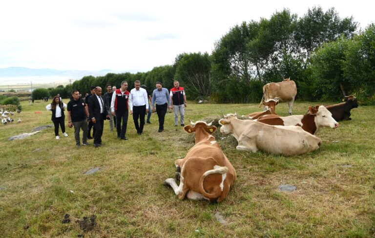 Tarım ve Orman Bakan Yardımcısı Ardahan’daydı