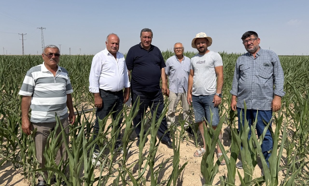 “Mısır Üreticisini Kuraklık yaktı, ithalat yıktı”