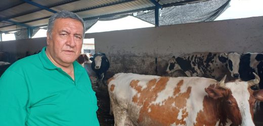 Gürer: “Üretici bir litre süt satıp bir bardak çay içemez hale geldi”