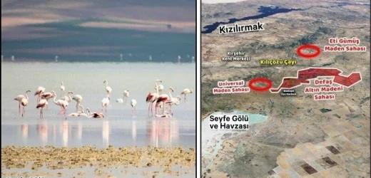 8 bin futbol sahası büyüklüğünde altın madenine karşı imza kampanyası başlatıldı.