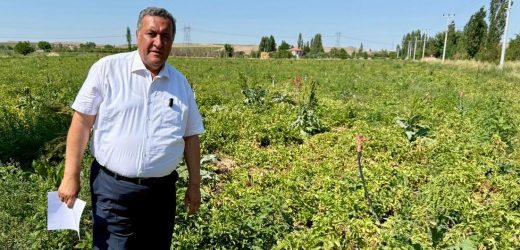 Gürer: “Çiftçinin Borcu 1 Trilyon 81 Milyara Çıktı”