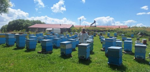 Kısırdağı Florasından Sofralarınıza Organik Bal