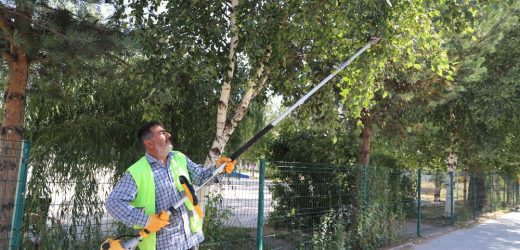 ARDAHAN BELEDİYESİ’NDEN AĞAÇ BUDAMA ÇALIŞMASI