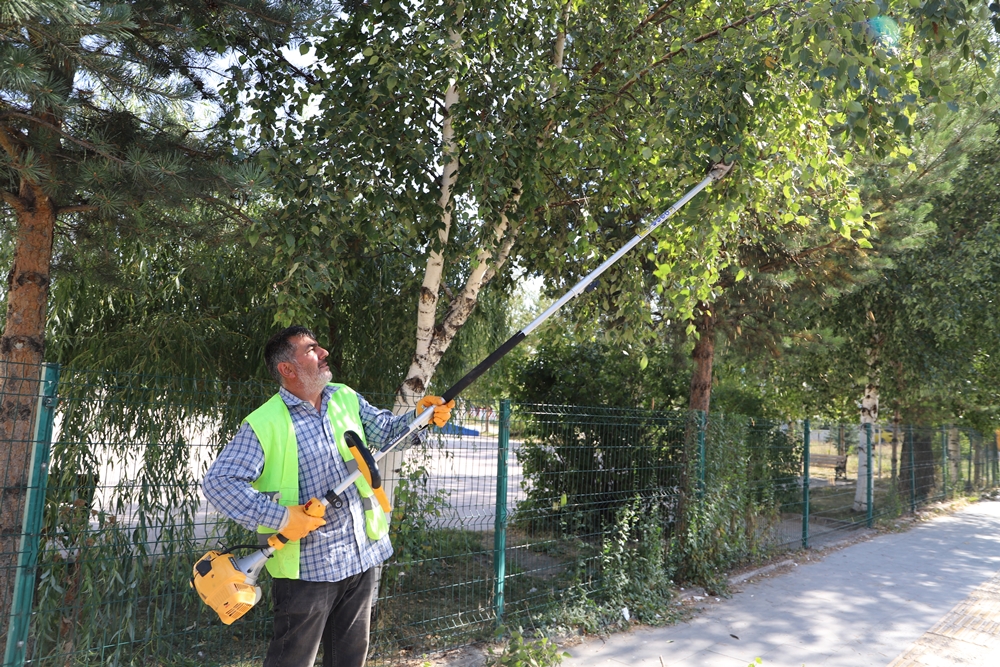 ARDAHAN BELEDİYESİ’NDEN AĞAÇ BUDAMA ÇALIŞMASI