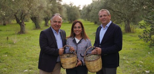 AYVALIK’TAN DOPDOLU PROGRAMIYLA BİR FESTİVAL DAHA GEÇTİ