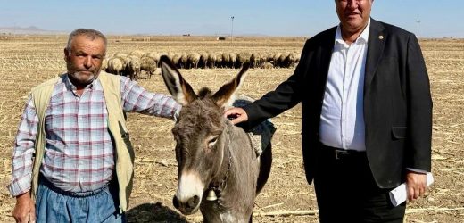 Ömer Fethi Gürer, “Hayvancılıkta sorunlar artıyor”