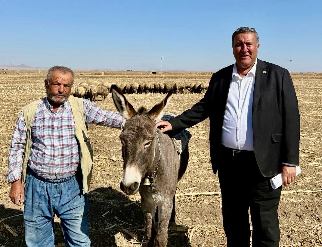 Ömer Fethi Gürer, “Hayvancılıkta sorunlar artıyor”