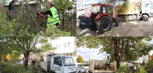 ARDAHAN BELEDİYESİ’NİN AĞAÇ BUDAMA ÇALIŞMALARI DEVAM EDİYOR