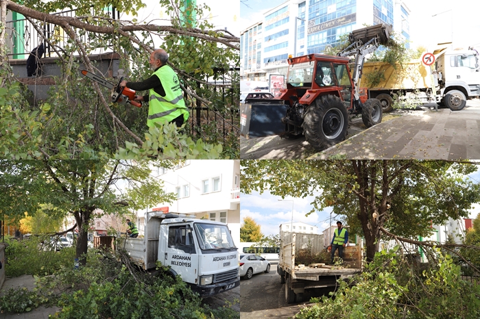 ARDAHAN BELEDİYESİ’NİN AĞAÇ BUDAMA ÇALIŞMALARI DEVAM EDİYOR