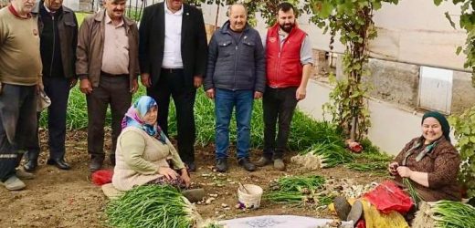 Gürer: “İktidarın çiftçiyi topraktan koparıyor”