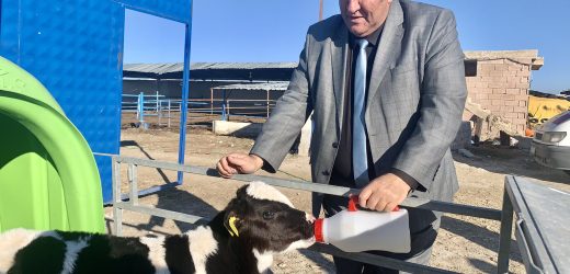 Gürer: “İnekten sütü sağan mutsuz”