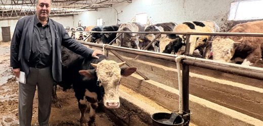 Gürer: “Şap Hastalığı Hayvancılığı Vuruyor!”