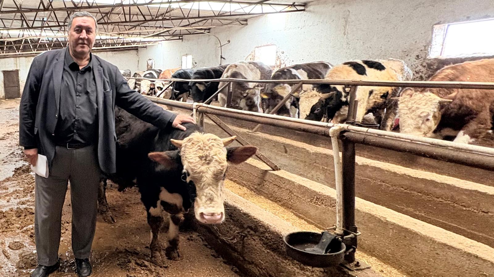 Gürer: “Şap Hastalığı Hayvancılığı Vuruyor!”