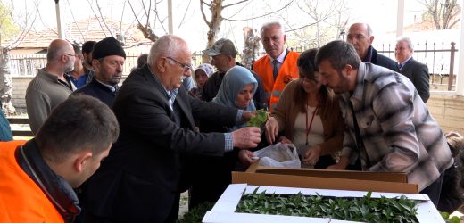 Başkan Türkel’den çiftçiye 100 bin sebze fide desteği