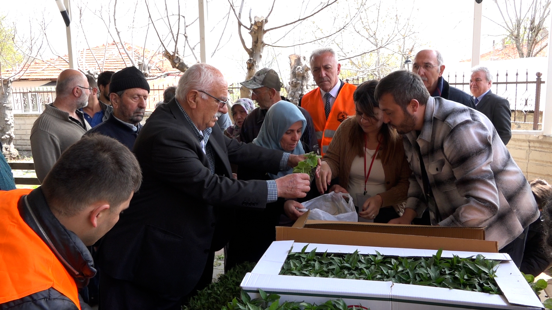 Başkan Türkel’den çiftçiye 100 bin sebze fide desteği