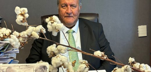 GÜRER: “PAMUKTA TEHLİKE ÇANLARI ÇALIYOR”