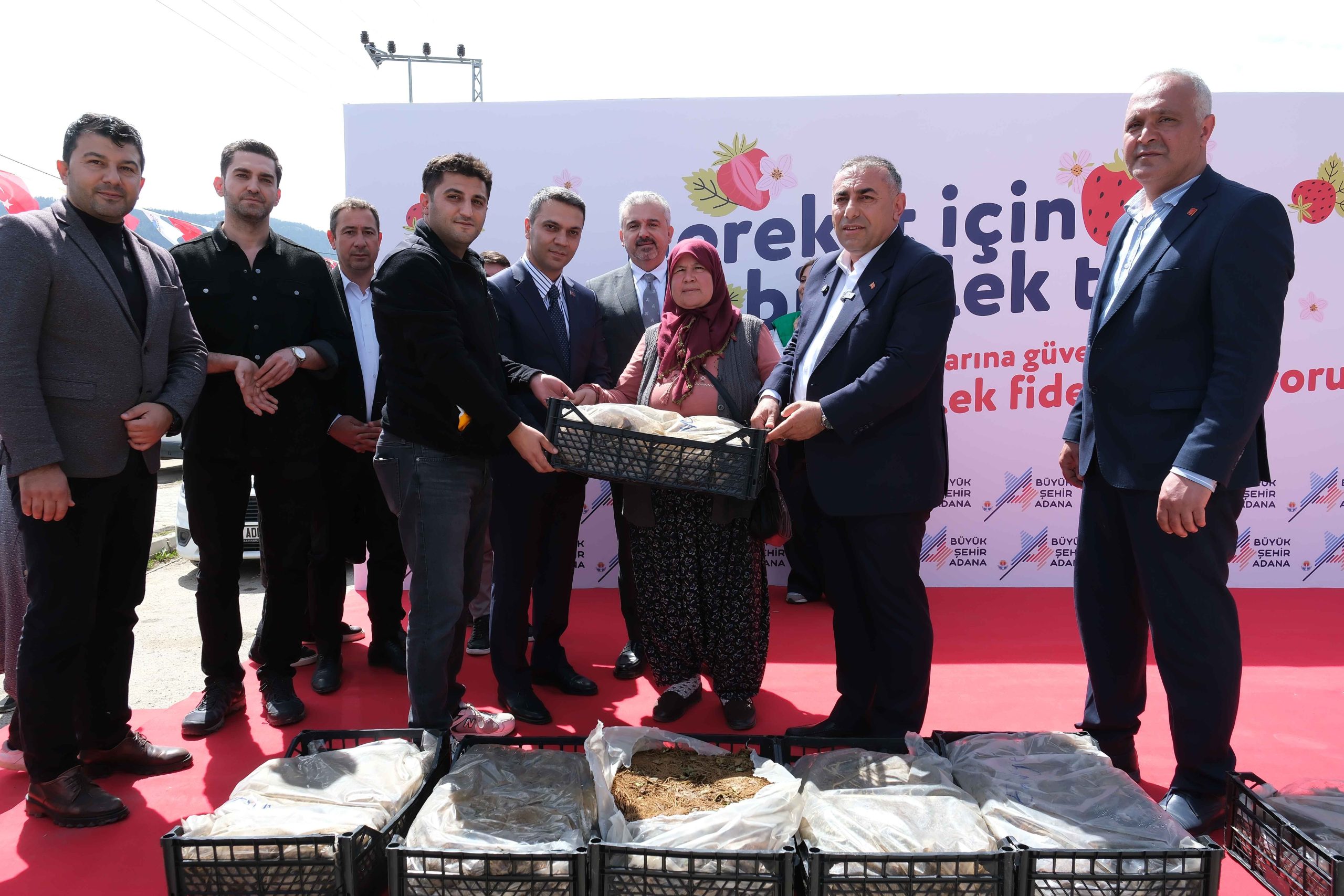 Pozantılı üreticiye 900 bin çilek fidesi daha dağıtıldı