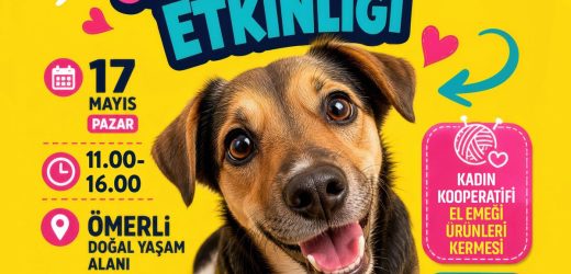 KÖPEK SAHİPLENDİRME ETKİNLİĞİ
