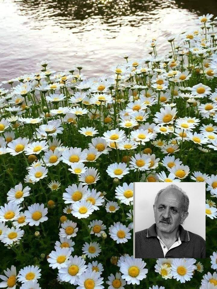 DR. AKÇAM: ÖNCE ONUR…