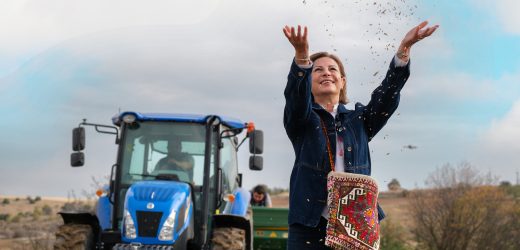 ANADOLU’NUN 5 BİN YILLIK ATA TOHUMU ESKİŞEHİR TOPRAKLARINDA, GELECEĞE TAŞINIYOR