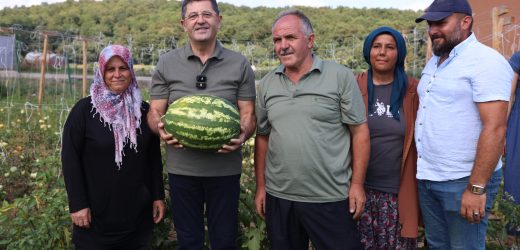 ÇEKMEKÖY’DE TARLADAN SOFRALARA SOSYAL BELEDİYECİLİK