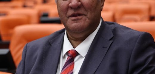 GÜRER: “ORMAN YANGINLARINI ÖNLEMEK İÇİN KEÇİLER UMUT OLABİLİR”