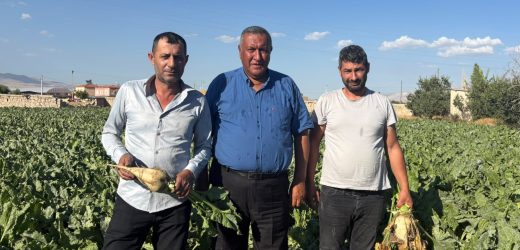 Gürer: “Çiftçi, ‘Emeğimizden vazgeçtik. Maliyeti kurtaralım’ diyor”