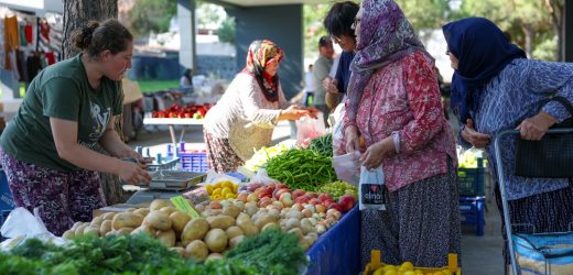 HACIÖMERLİ’DE SALI  PAZARI BEREKETİ HACIÖMERLİ’DE PAZAR GELENEĞİ CANLANDI