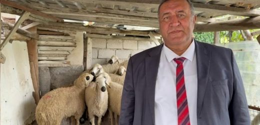 Gürer: “2023 ile 2025 arasında Kırmızı Ette 500 Milyon Ton, Sütte 2,1 Milyon Ton, Yumurtada 1,2 Milyar Adet ve Bal Üretiminde %17,8 Azalma Var”