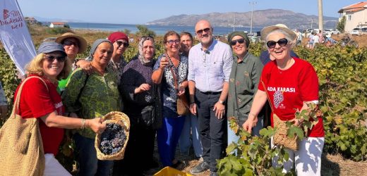 İDO İLE AVŞA’DA ADAKARASI BAĞ BOZUMU COŞKUSU: TARİH, GASTRONOMİ VE KÜLTÜR BULUŞTU
