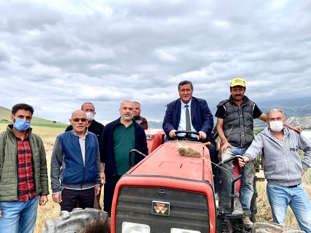 Gürer, Buğday tarlalarında göz yaşartan manzara…