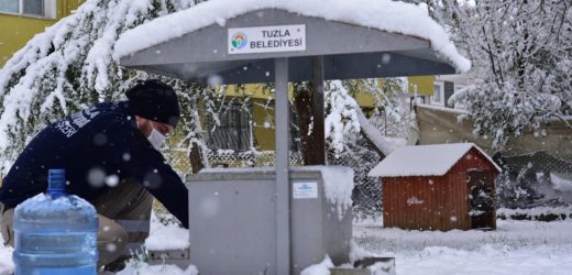 TUZLA’DA SOKAK HAYVANLARI UNUTULMADI MİNİK DOSTLARA ÜÇ GÜNDE 1 TON MAMA DAĞITILDI