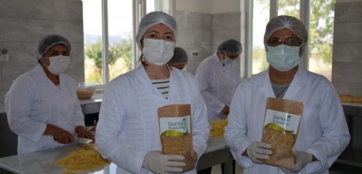 Zile Belediyesi’nden girişimcilik, üretim ve istihdama destek