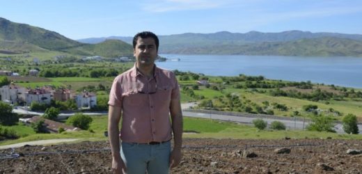 İlk kez dikimi gerçekleştirilen lavanta fideleri ile Pertek’i lavanta kokuları saracak