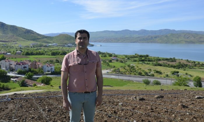 İlk kez dikimi gerçekleştirilen lavanta fideleri ile Pertek’i lavanta kokuları saracak