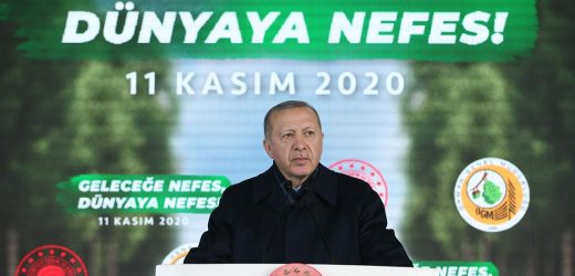 Cumhurbaşkanı Erdoğan, “Geleceğe Nefes, Dünyaya Nefes Programı”na katıldı
