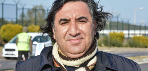 ALİAĞA’YI PAVLONYA AĞAÇLARI SÜSLEYECEK